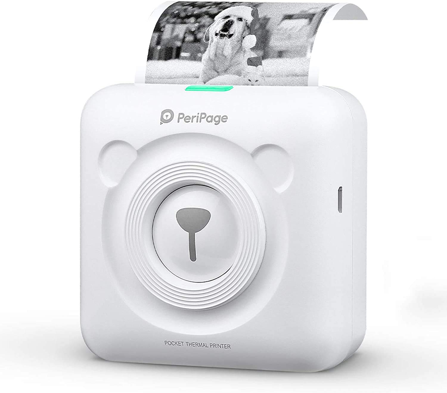 Peripage a6